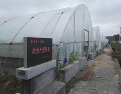第一書記扶貧開發(fā)項目